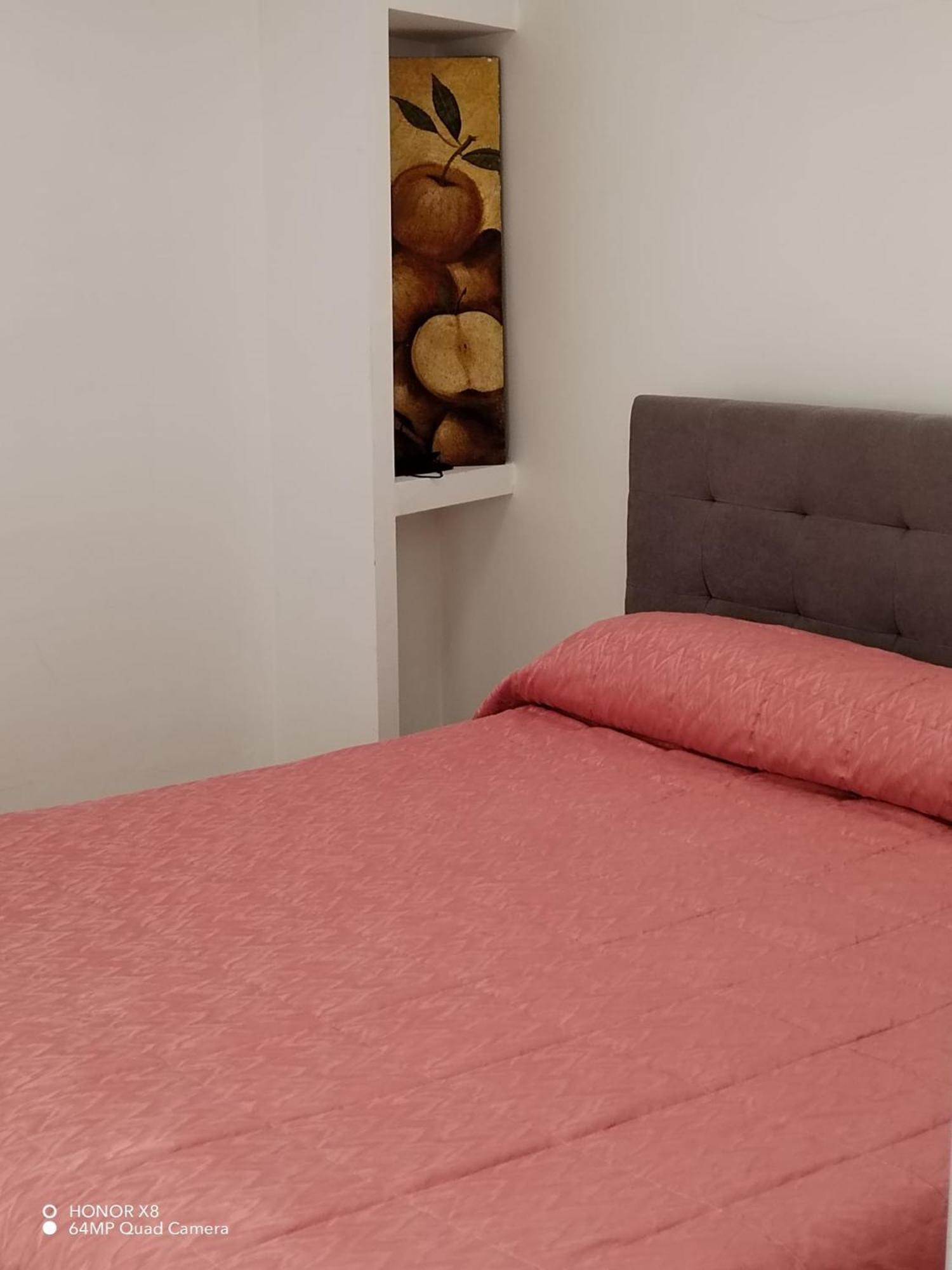 B&B Civitavecchia La Casetta Con Giardino Eksteriør bilde